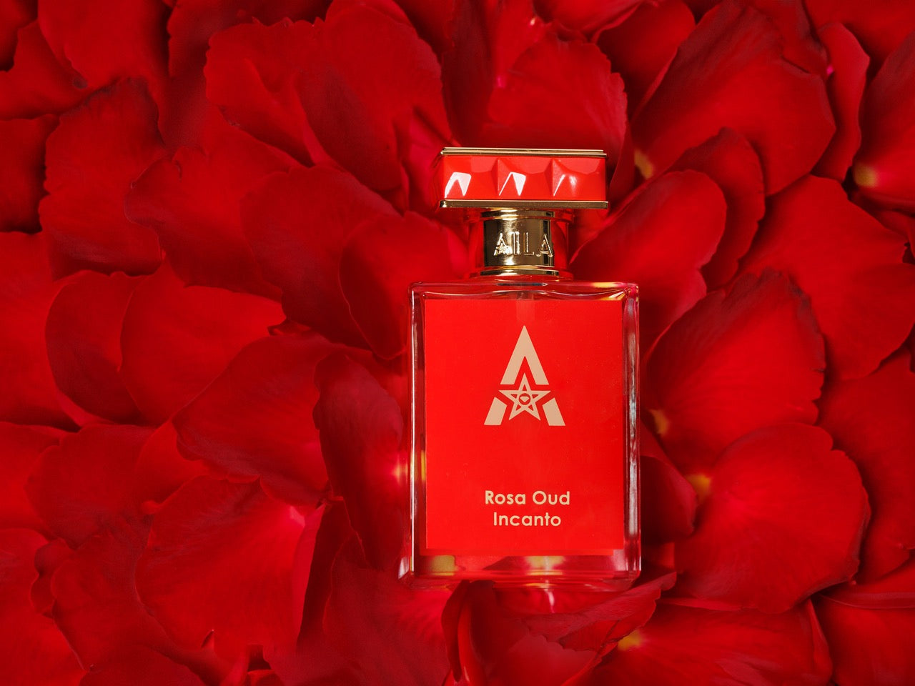 ROSA OUD INCANTO
